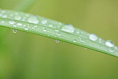 PS Plus游戏大清仓！22款游戏将于5月下架